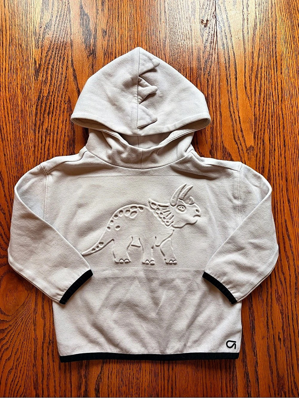 Gapfit Dinosaur Hoodie Boys Size 2Y